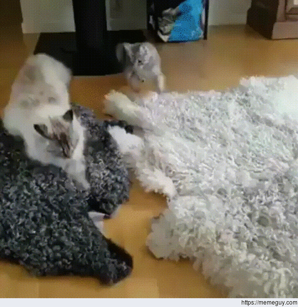 SPAZ ATTACK