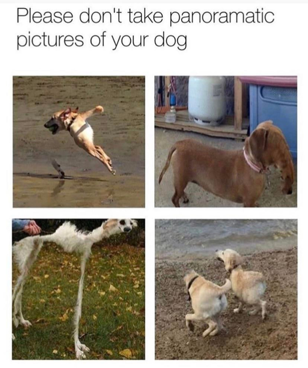 Speaks for itself