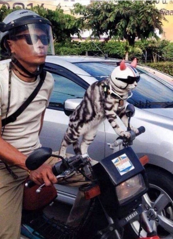 Speed Demon