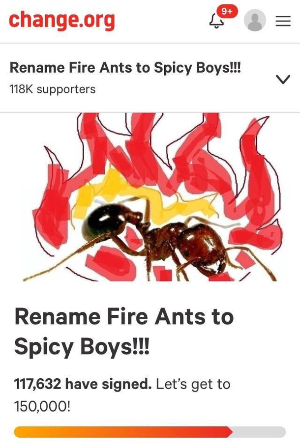 Spicy bois