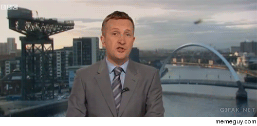 Spider eats prey during newscast