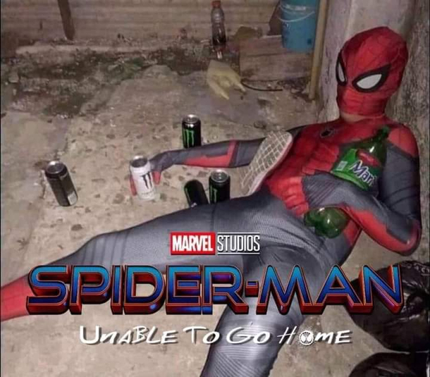 Spider man Far from home No way home amp we hope ait last unable to go home
