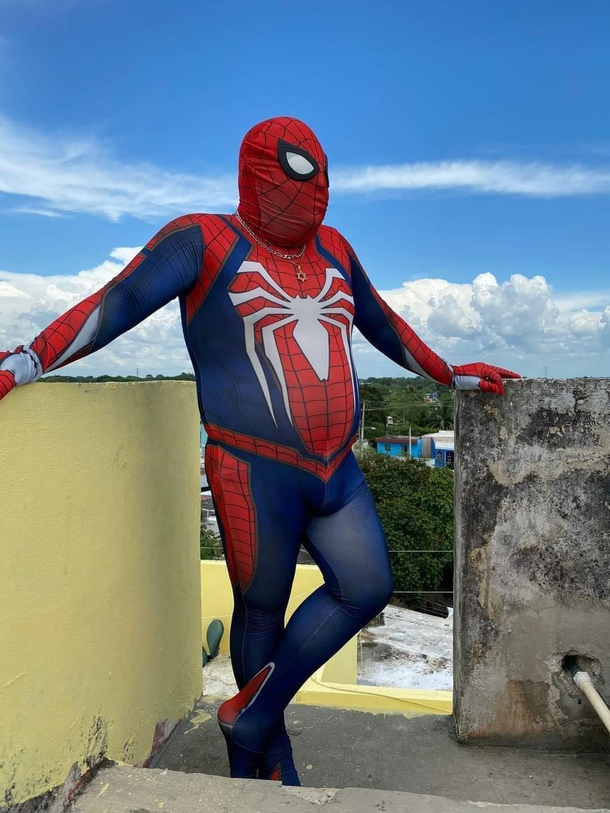 Spiderman Work From Home