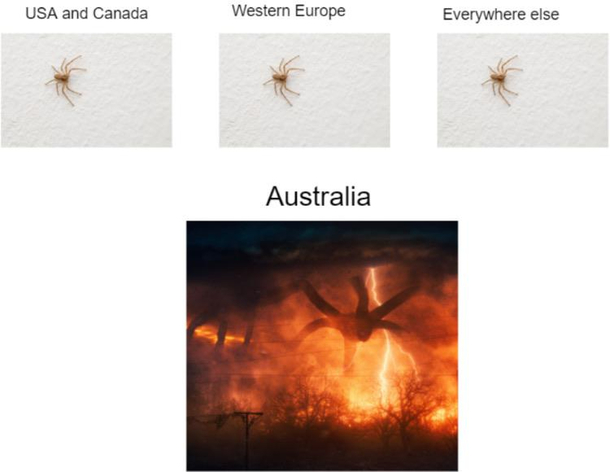 Spiders are crazy