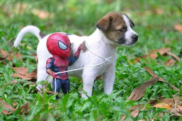 Spidey Sidekick
