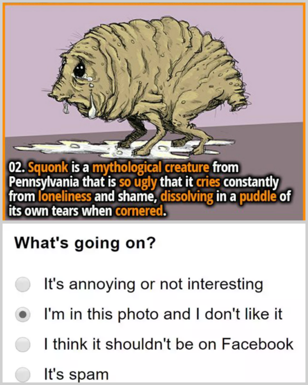 Spirit animal