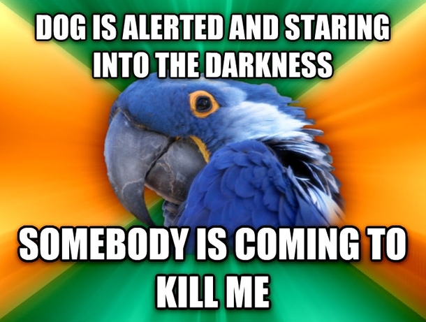 Split second thought when I let my dog out at night
