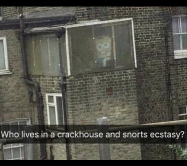SPONGE BOB SQUARE PANTS