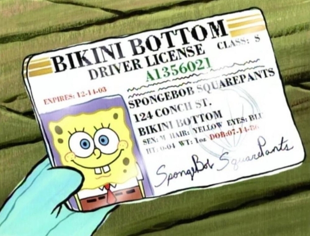 SpongeBob turns  today