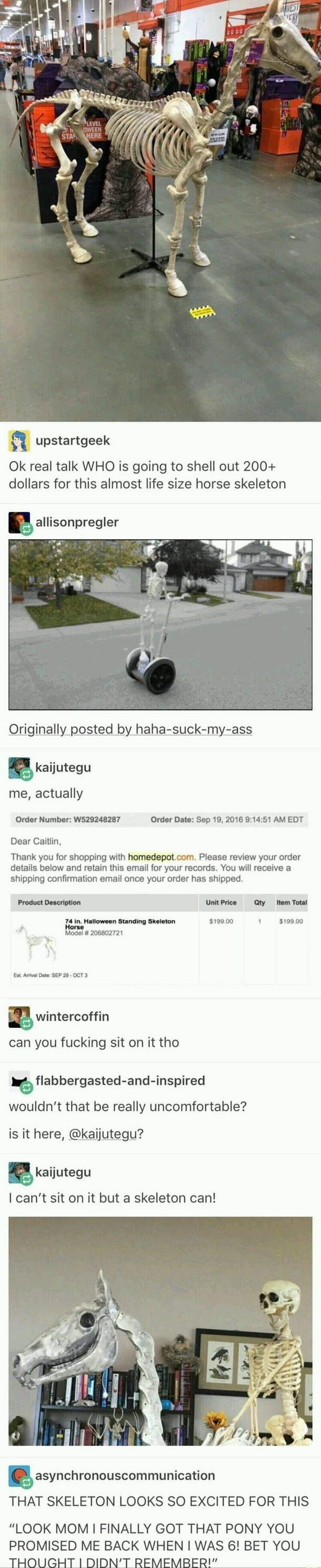 Spooky Horse