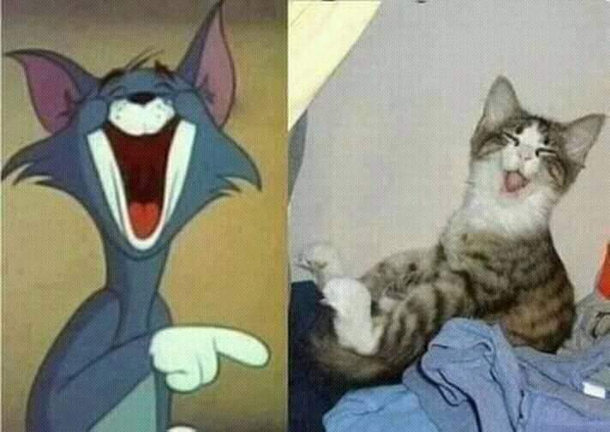 Spot- on expression