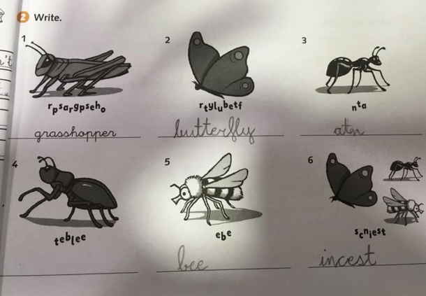 Spot the spelling mistake by a young student not the Ant one
