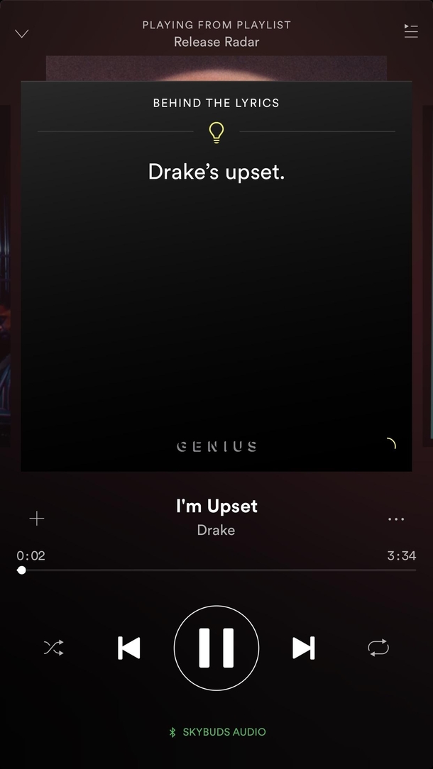 Spotifys Behind The Lyrics digs deep sometimes