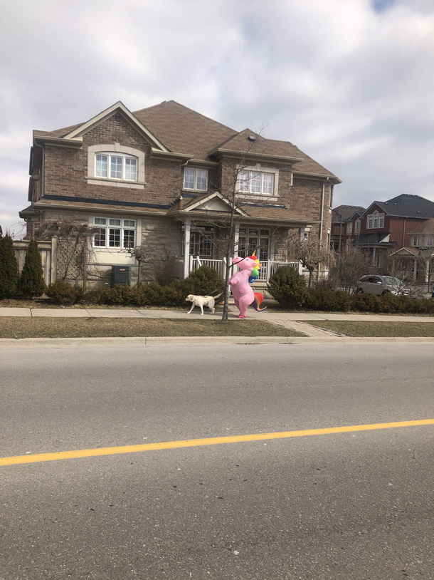 Spotted a dog walker while out for a ride