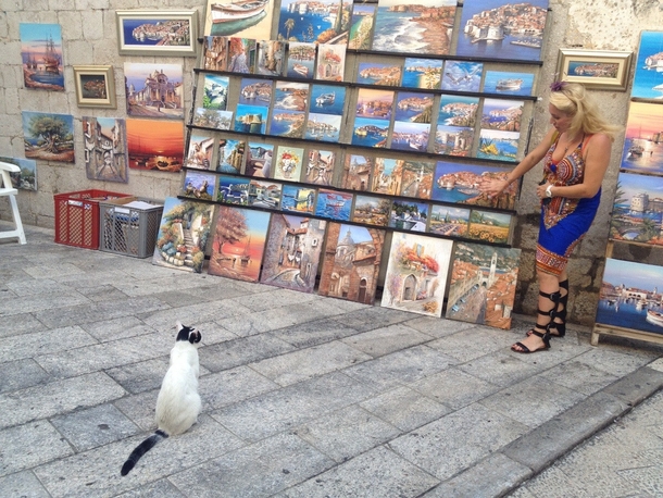 Spotted a lady in Dubrovnik teaching this cat about art