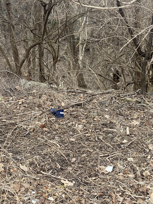 Spotted a puma in the wild today
