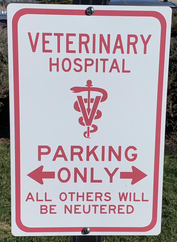 Spotted at the vet 