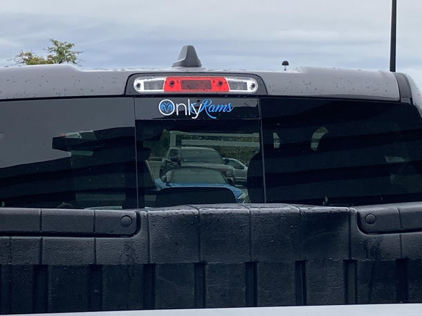 Spotted in my parking lot at work
