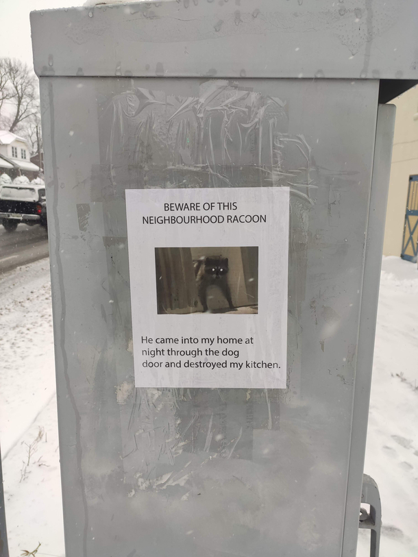 Spotted in Toronto