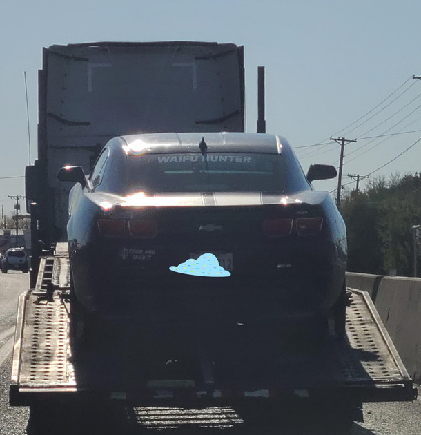 Spotted this on my way home today