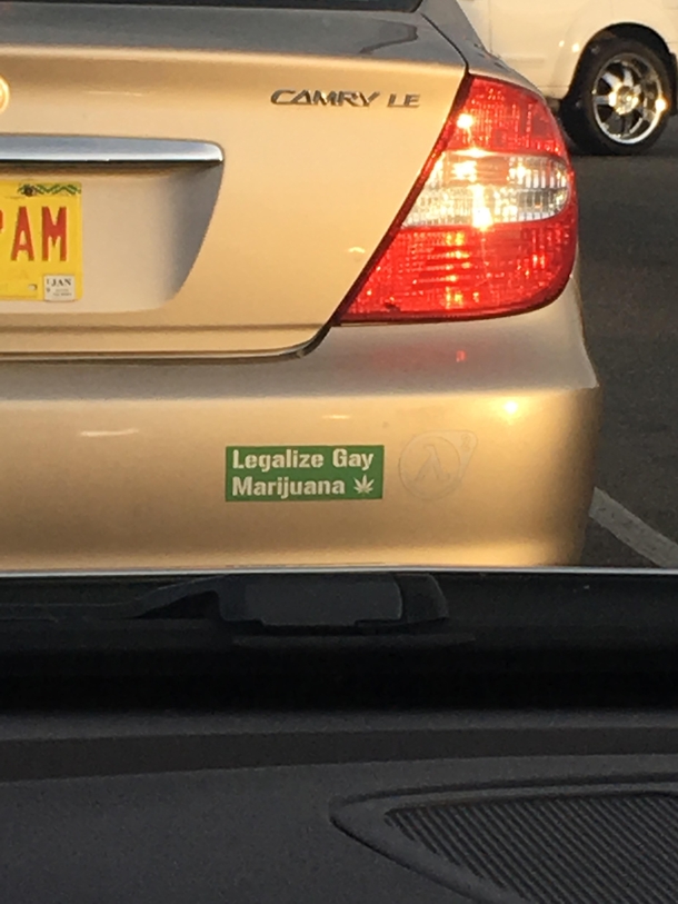 Spotted today in New Mexico RainbowWeed