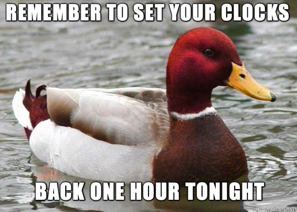 Spring back fall forward