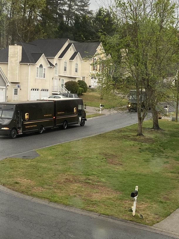 Spring is in the air Behold the rarely photographed mating ritual of the big brown truck