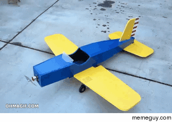 Squirrel hijacks model plane