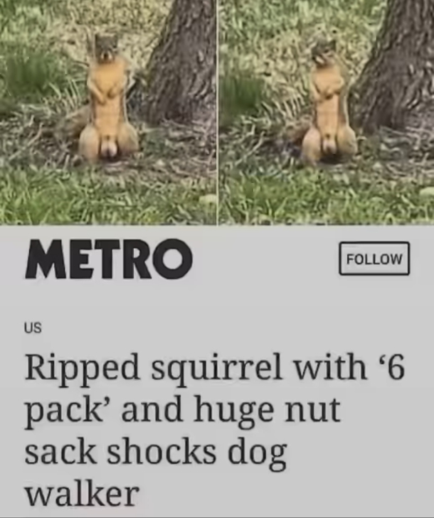 Squirrel just making sure they dont get endangered