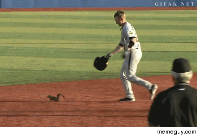 Squirrel on the loose in a baseball game