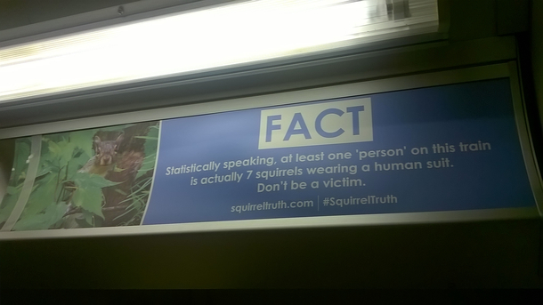Squirrel Truths