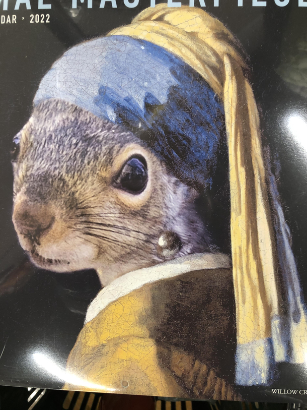 Squirrel with a Pearl Earring