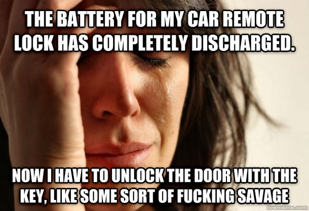 st world car problems