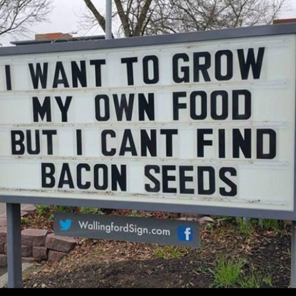 st world problems