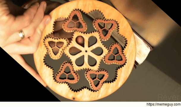 Stabilized Non-Circular Planetary Gear