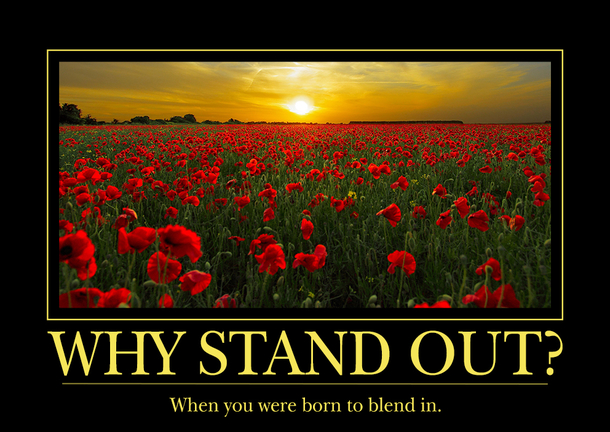 Stand Out
