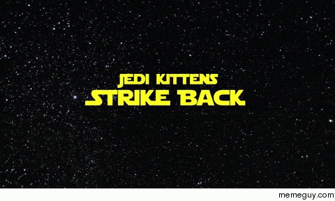 Star Wars Kitten