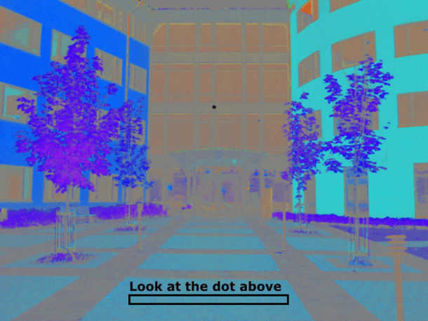 Stare at the dot