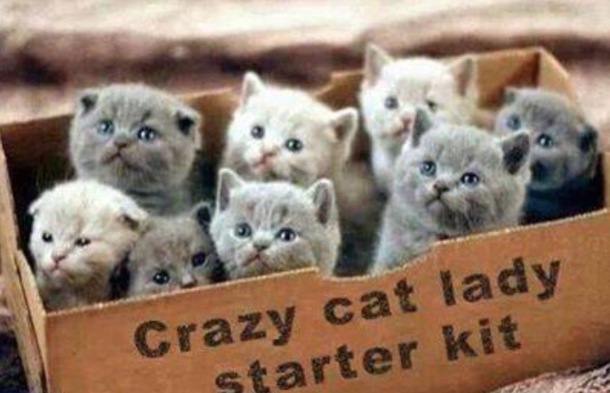 Starter Kit