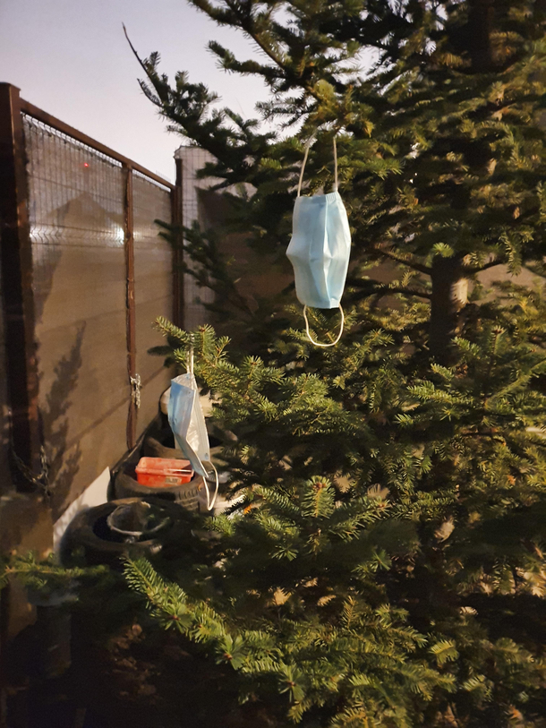 Starting to decorate the tree