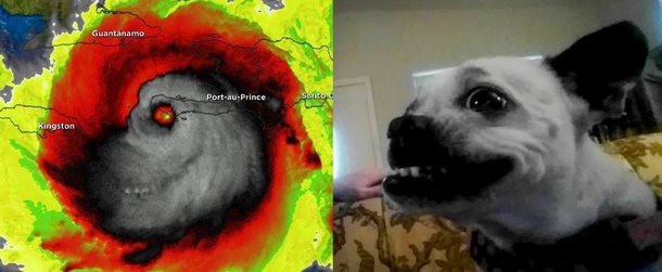 Starting to think Matthew is coming to Orlando for my dog