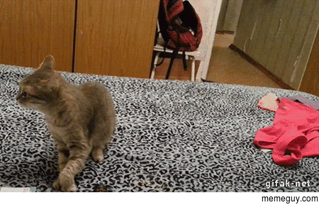 Startled by a Sneeze
