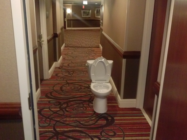 Stay at the Hilton they said It will be classy They said