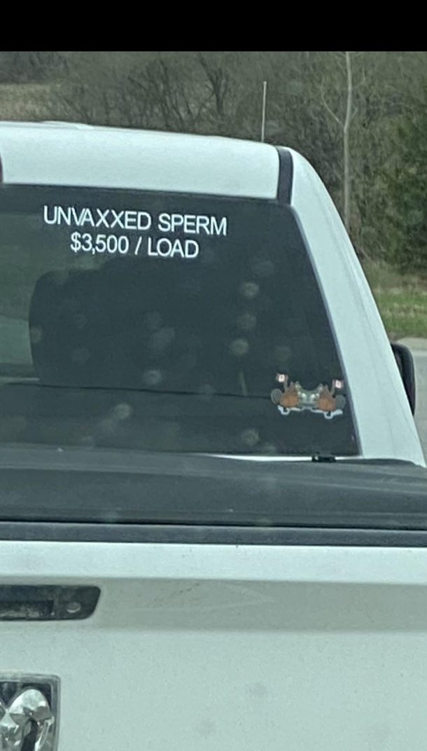 Stay Classy