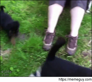 Stay down little one