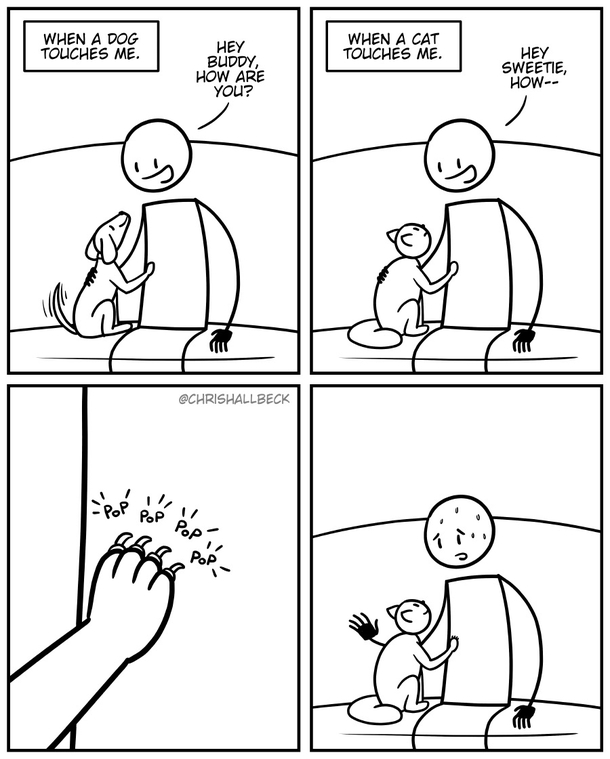 Stay very still