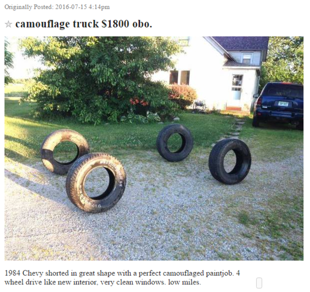 Stellar paint-job on Cragislist