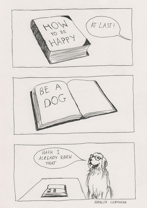 step one be a dog