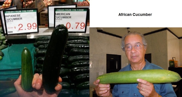 Stereotypical Cucumbers Fixed