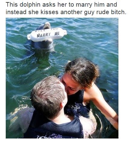 Steve was heartbroken and decided he would never love another land mammal